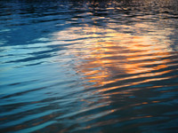 Reflected Ripples
