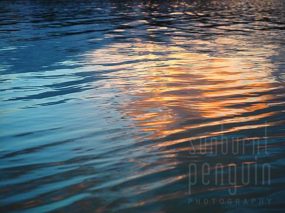 Reflected Ripples
