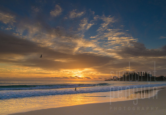 Coolangatta Sunrise