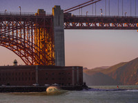 Golden Hour