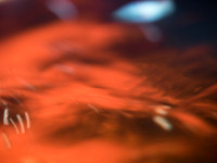 Liquid Flames