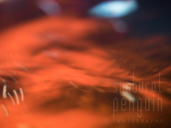 Liquid Flames