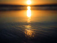 Golden Orb