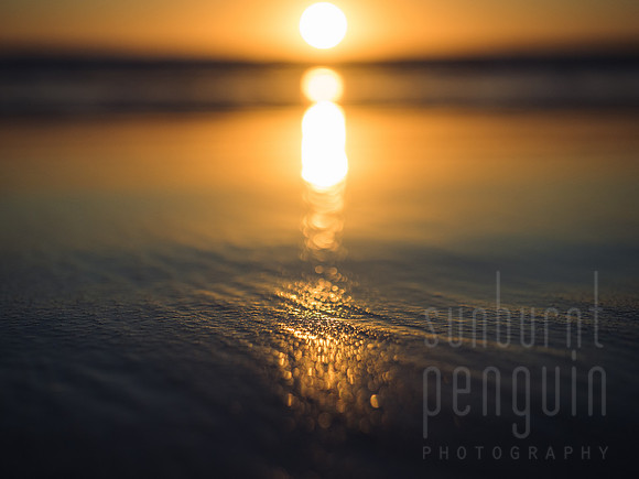 Golden Orb