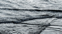 Silver Lines