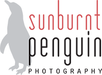 Sunburnt Penguin Photography